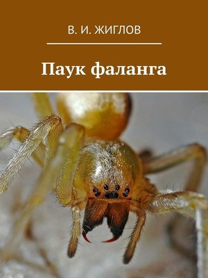 cover image of Паук фаланга